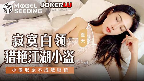 国产AV麻豆传媒.MSD-159.夏天.寂寞白领猎艳江湖小盗.小偷取金不成遭取精